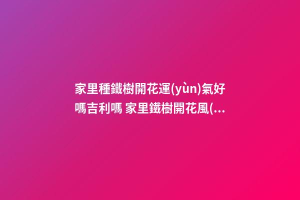 家里種鐵樹開花運(yùn)氣好嗎吉利嗎 家里鐵樹開花風(fēng)水解析